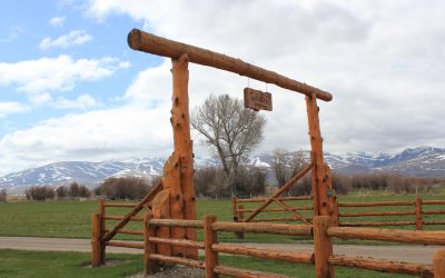 Why Montana?