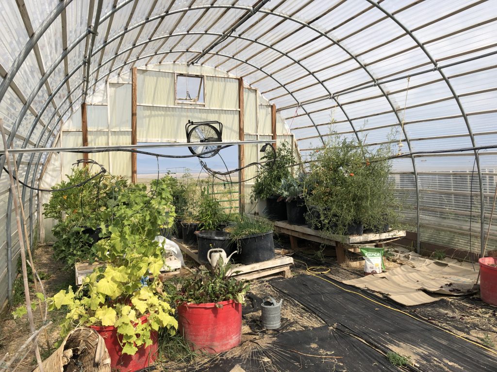 Greenhouse
