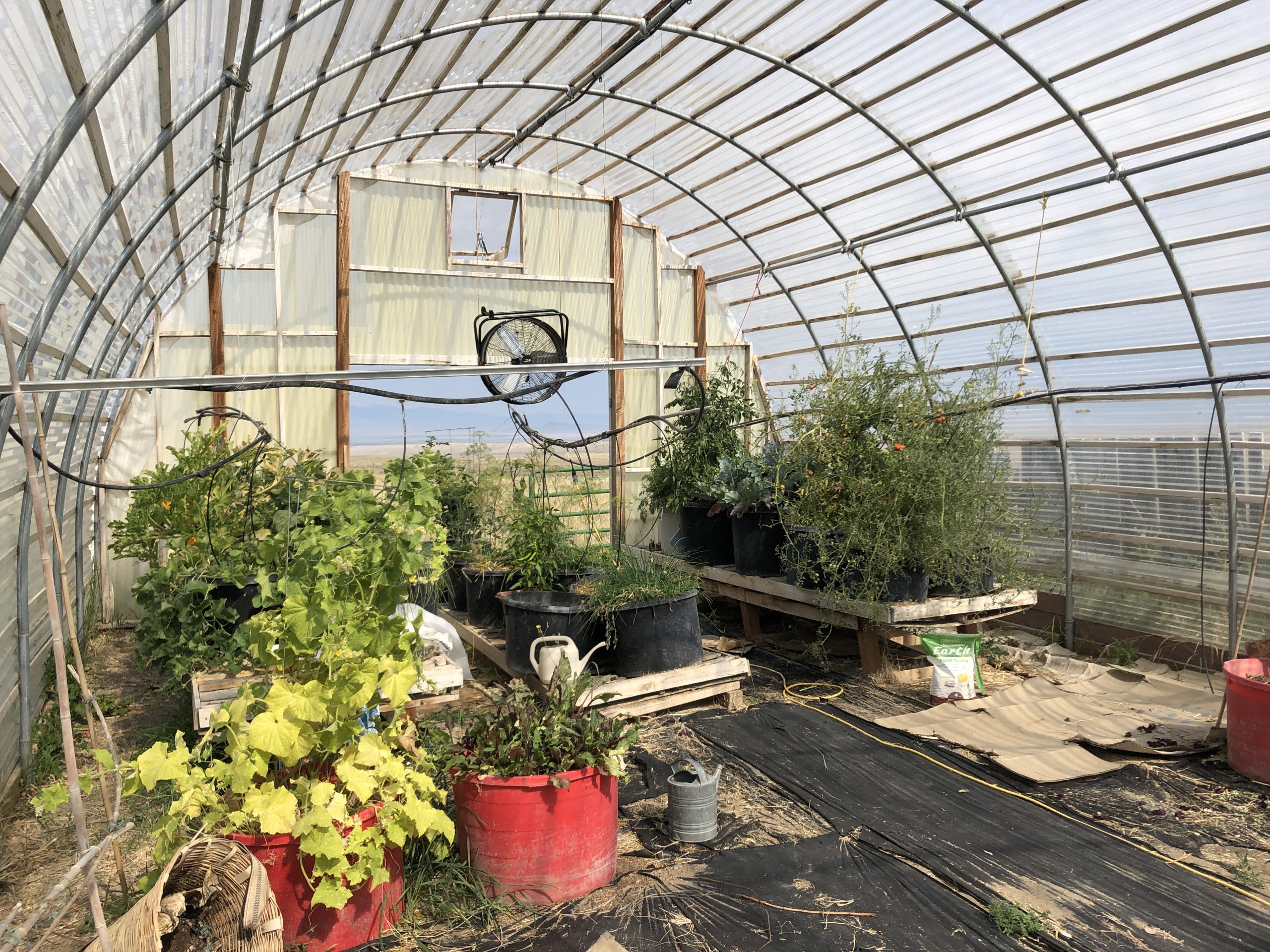 Greenhouse