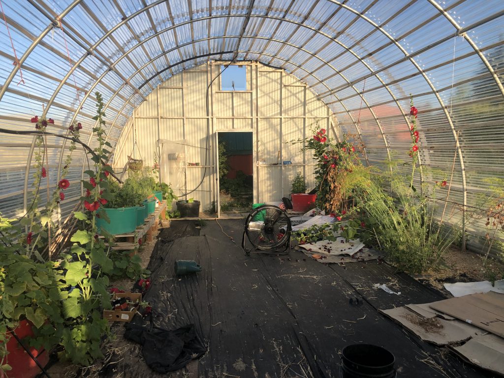 Greenhouse1