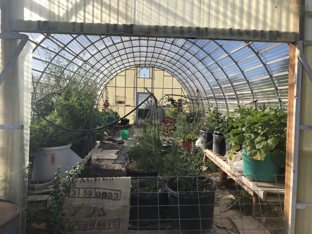 Greenhouse3