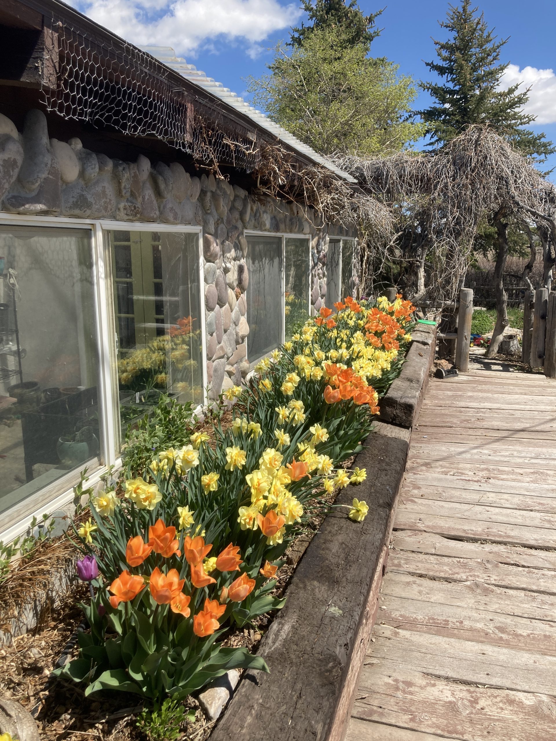 Outside_Sunroom
