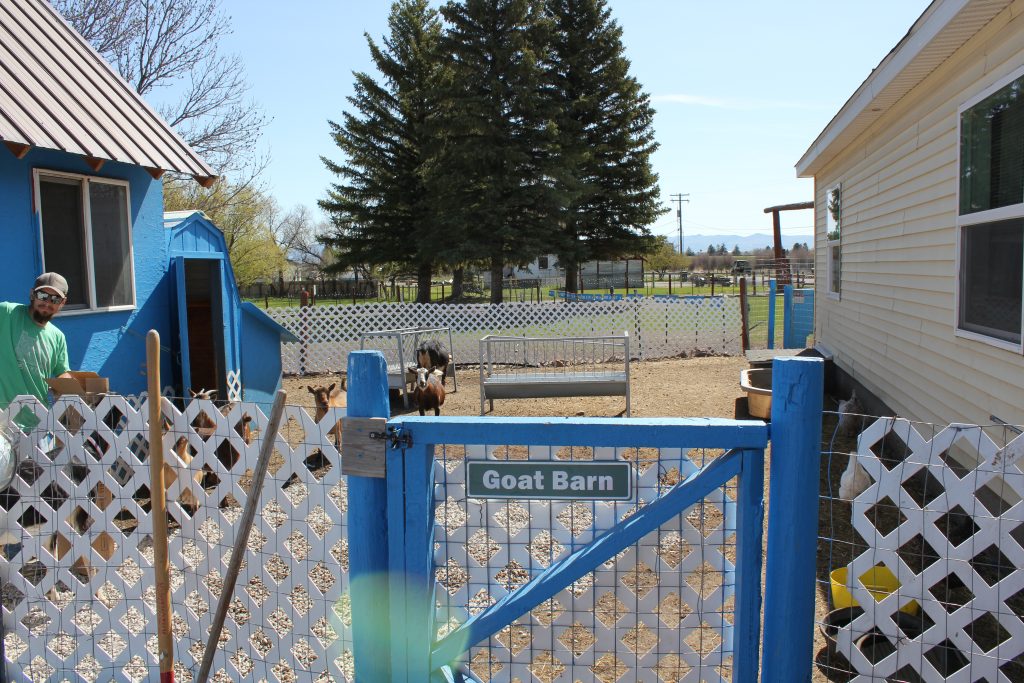 Goatbarn