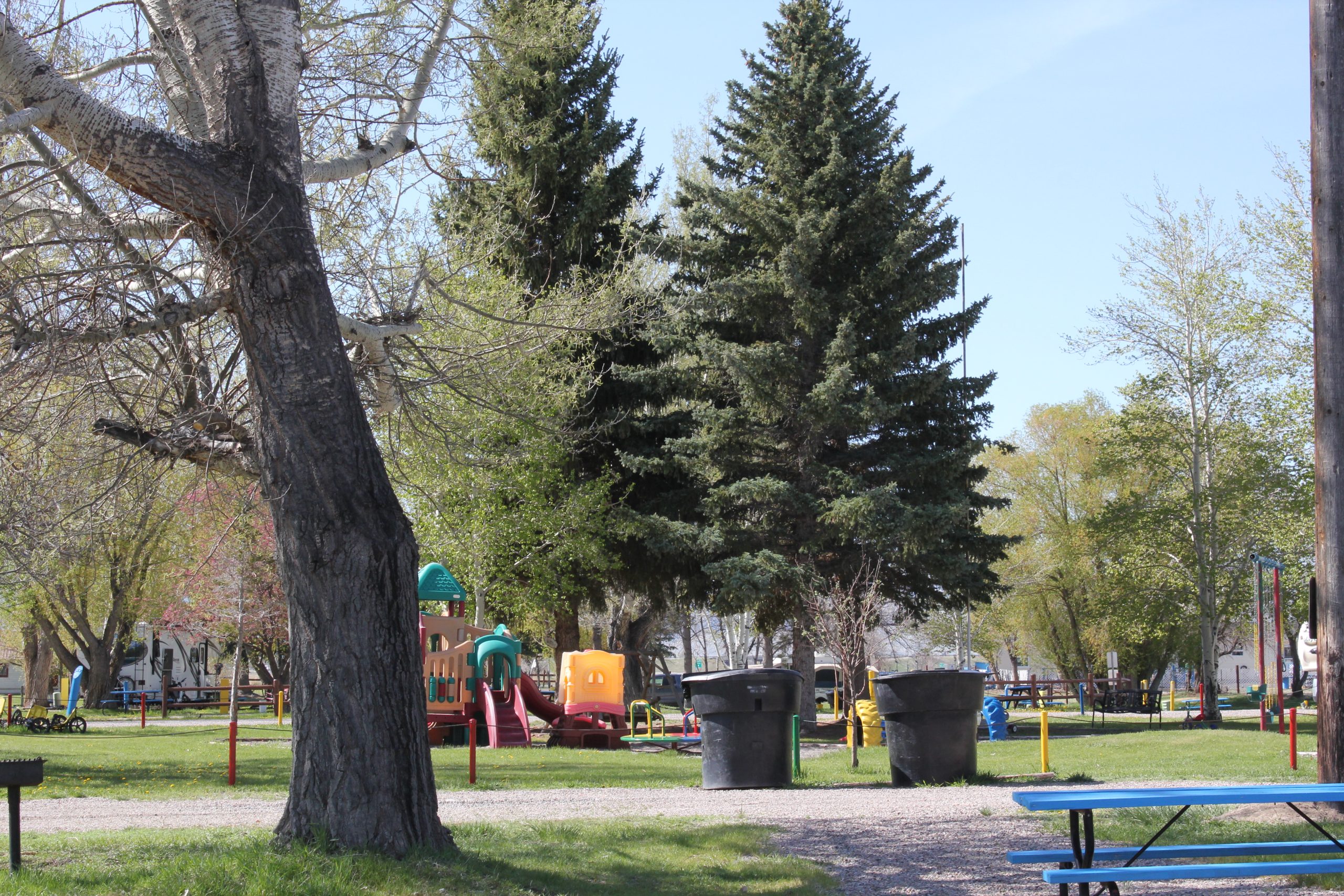 Playarea