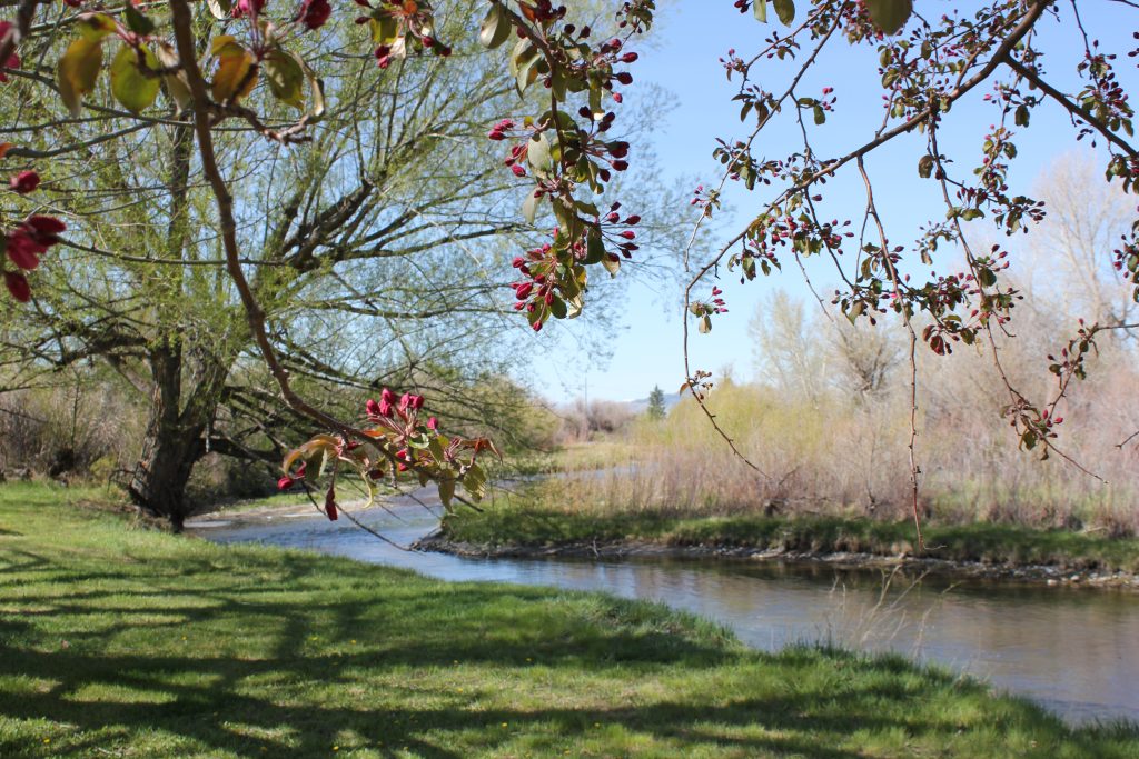 River1